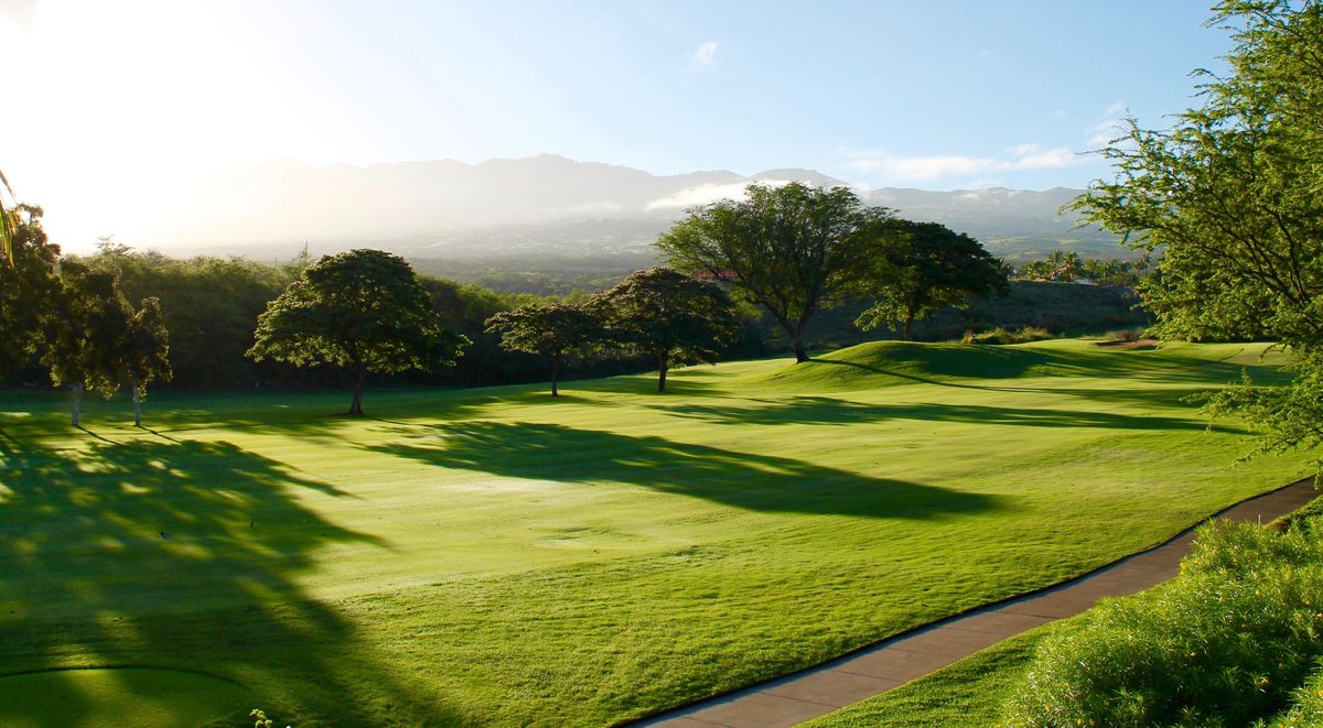 Ein Golfplatz im frühen Morgenlicht mit Fairways und Bäumen